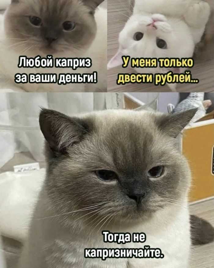 undefined2. Использование iTunes или iMazing</strong>«></p><p>Для более продвинутого восстановления приложений можно воспользоваться программами iTunes или iMazing.</p><p><strong>iTunes:</strong> Установите последнюю версию iTunes на свой компьютер Mac или PC, подключите свой iPhone к компьютеру и запустите iTunes. Затем выберите ваше устройство и перейдите на страницу «Приложения». Здесь вы можете найти установленные приложения на iPhone, сделать резервную копию или восстановить их на ваш телефон.</p><p><strong>iMazing:</strong> iMazing — это программное обеспечение для управления данными на устройствах iOS. С его помощью вы можете установить, удалить и восстановить приложения на вашем iPhone. Программа поддерживает все версии iOS и позволяет переносить приложения между устройствами, а также извлекать данные из резервных копий.</p><h3><strong>Примечание</strong></h3><p>Помимо указанных методов, существуют и другие способы восстановления приложений на iPhone. Некоторые пользователи используют удаленное управление приложениями, например через сервис iCloud или сторонние приложения, такие как Tenorshare iCareFone. Важно запомнить, что у каждого девайса могут быть свои особенности восстановления приложений, поэтому внимательно изучите инструкцию, которая идет в комплекте с вашим устройством или обратитесь за помощью к профессионалам.</p><div class=