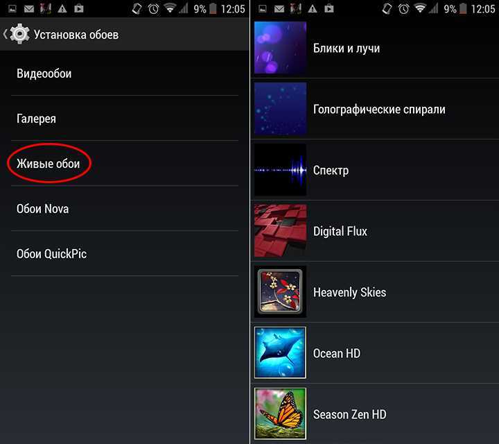 Создание уникального стиля на Хоноре